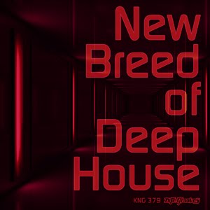 image cover: New Breed of Deep House EP (KNG379)