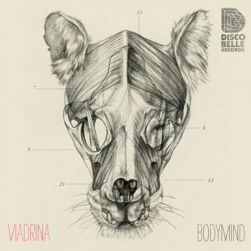 image cover: Viadrina - Bodymind [DBR-022]
