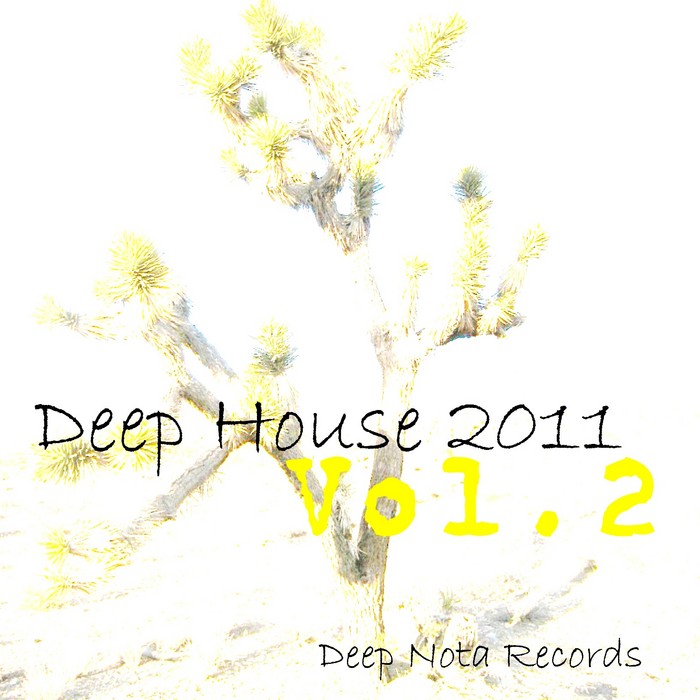 image cover: Deep House 2011 - Vol.2 (DNR105)