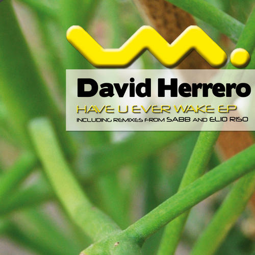 image cover: David Herrero - Have You Ever Wake EP (LPS043)
