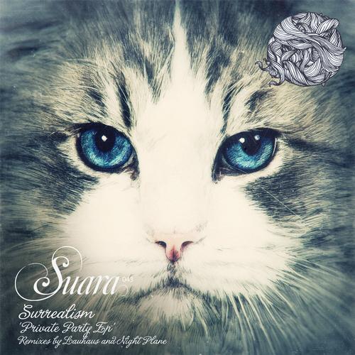 image cover: Surrealism - Private Party (SUARA043)