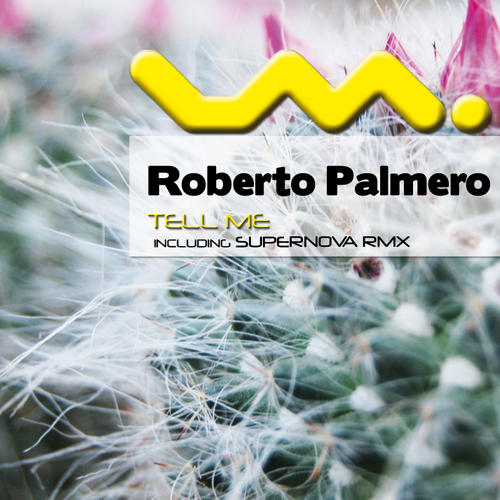 image cover: Roberto Palmero – Tell Me [LPS044]