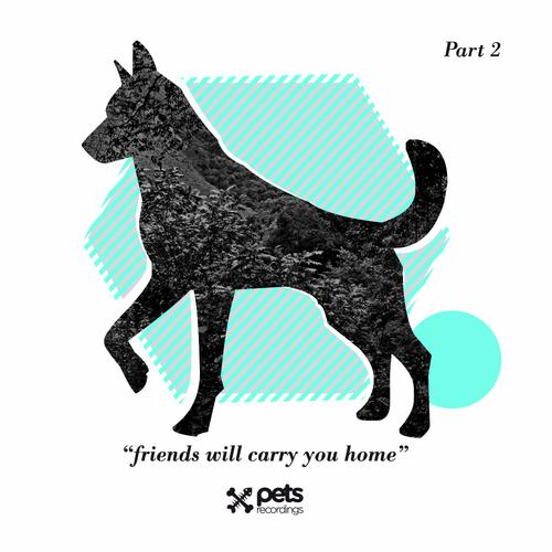 image cover: VA - Friends Will Carry You Home Part 2 [PETS014]