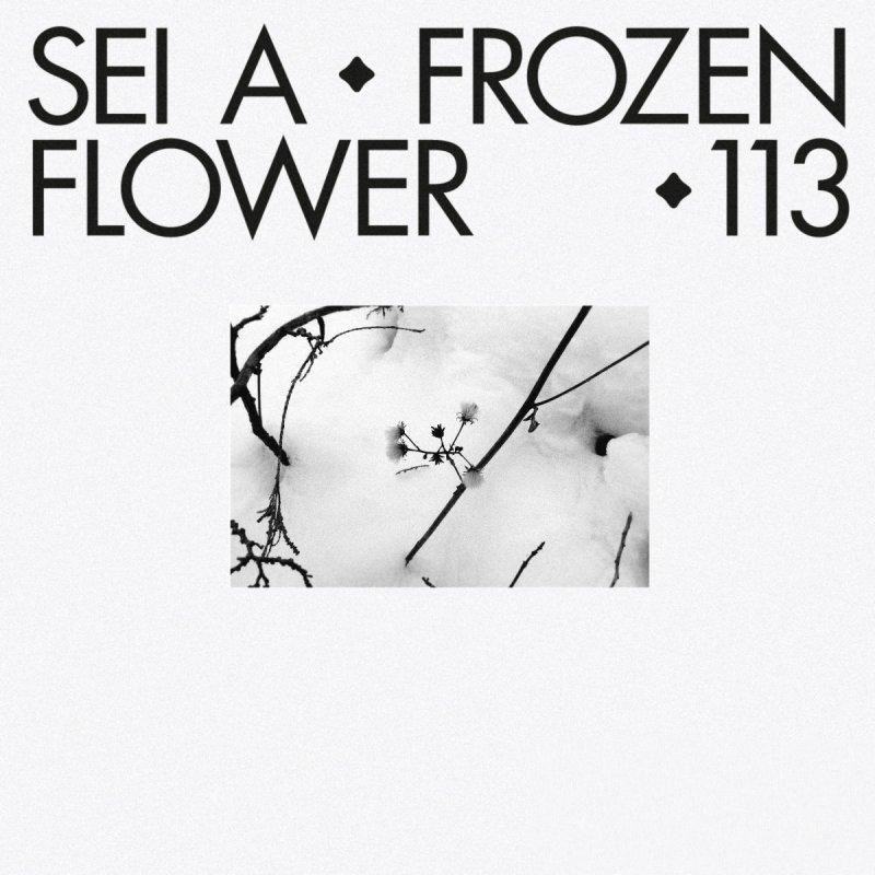 image cover: Sei A - Frozen Flower (TURBO113)