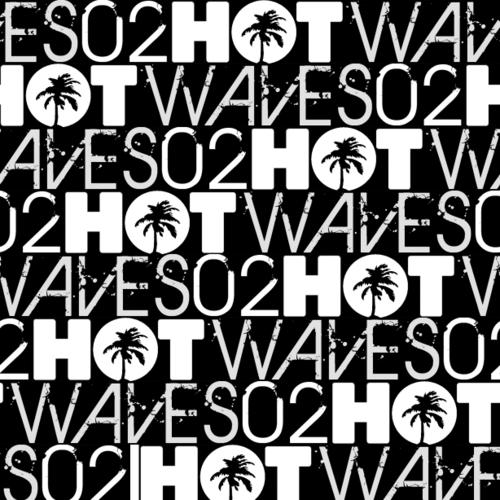 image cover: VA - Hot Waves Vol. 2 (HWCD002)