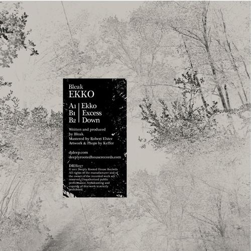 image cover: Bleak - Ekko EP [DRH037]