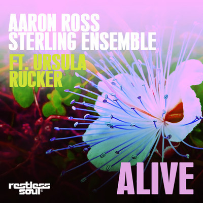 image cover: Aaron Ross, Sterling Ensemble Ft. Ursula Rucker - Alive [RSDIGI0034]