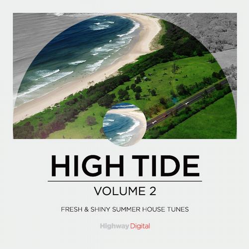 image cover: Various Artist - High Tide Vol. 2 [HWD10]