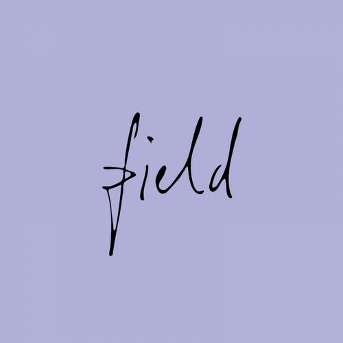 image cover: VA - Field 06 (FIELD06)
