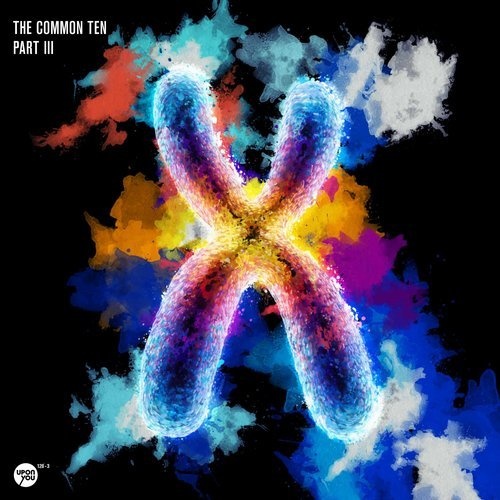 image cover: VA - The Common Ten Part 3 / Upon You Records