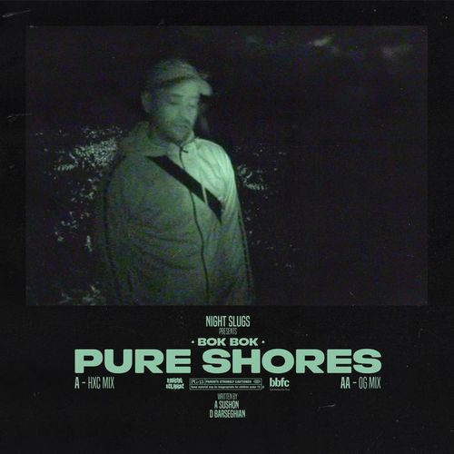 Download Pure Shores on Electrobuzz