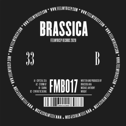 Download Brassica - Crystal Sea on Electrobuzz