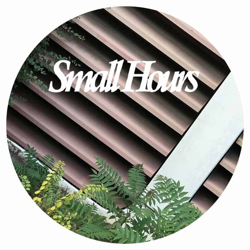 Download Various Artists - Small Hours 005 on Electrobuzz