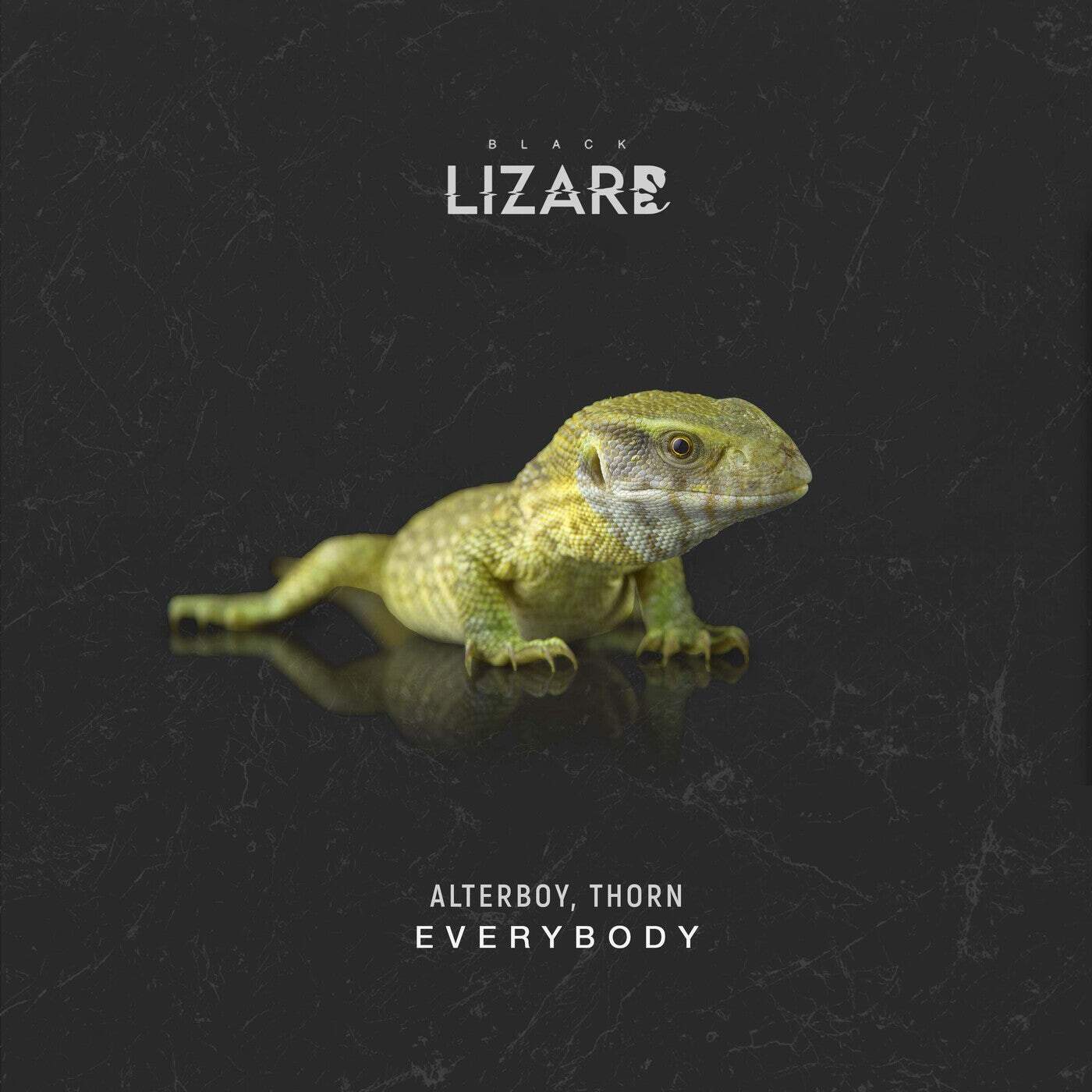 Download Thorn, Alterboy - Everybody on Electrobuzz