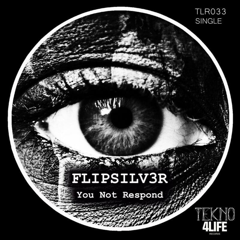Download FLIPSILV3R - YouNotRespond on Electrobuzz