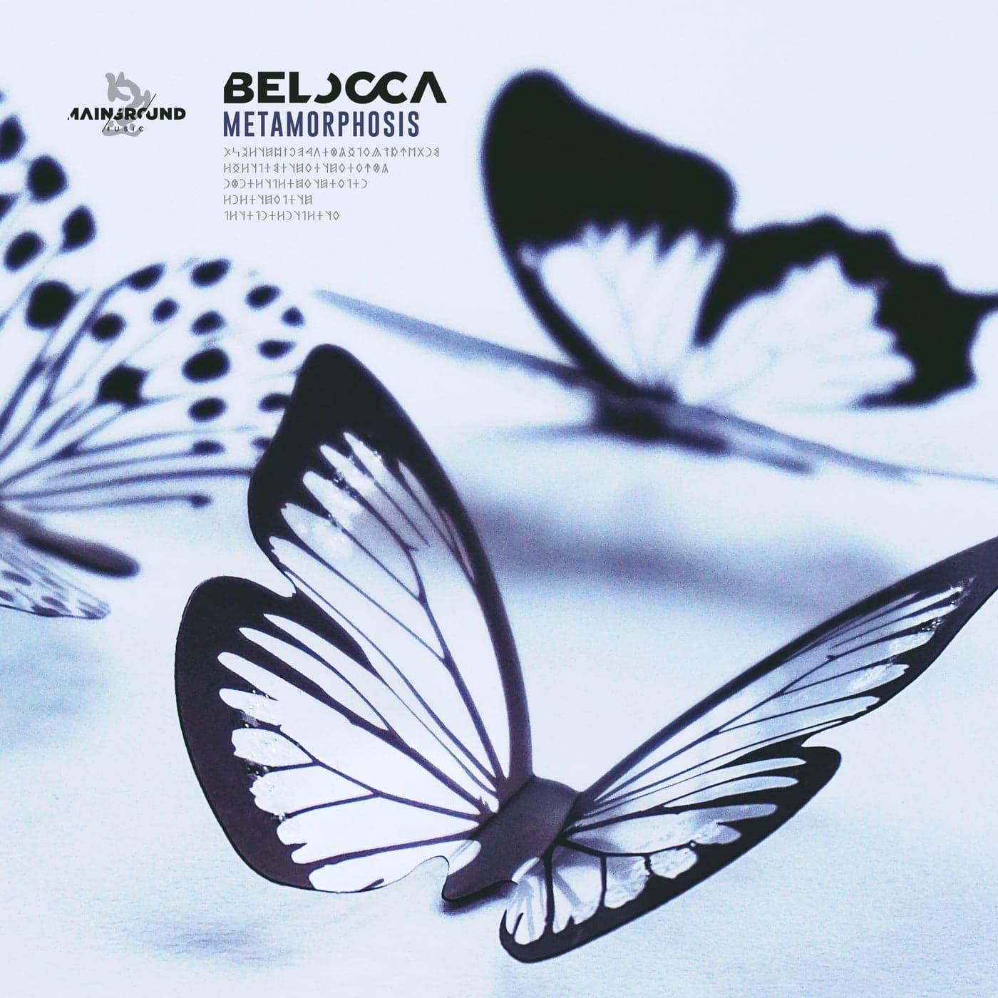 Download Belocca - Metamorphosis on Electrobuzz