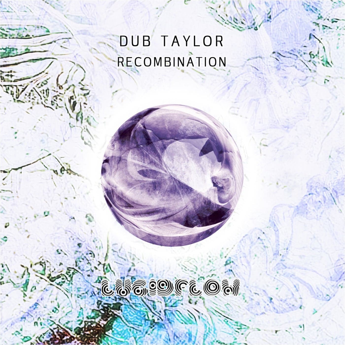 Download Dub Taylor - Recombination on Electrobuzz