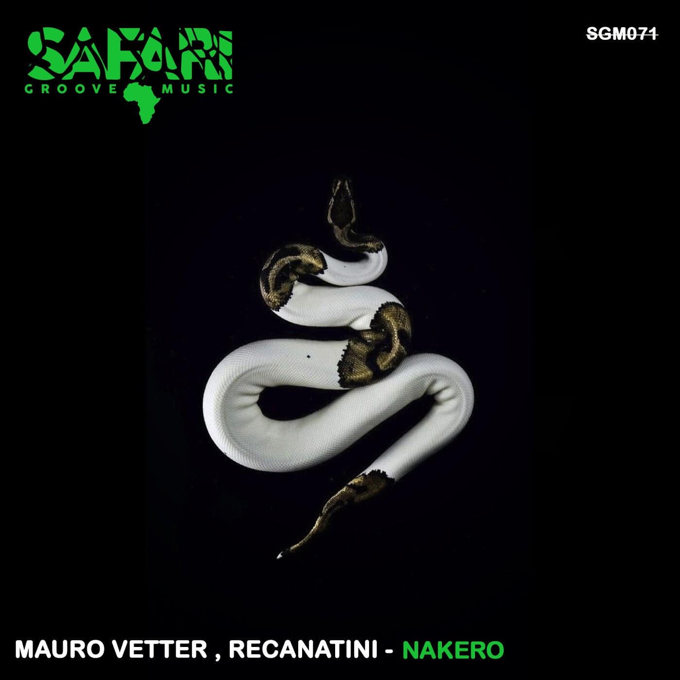 Release Cover: Mauro Vetter, Recanatini - Nakero on Electrobuzz