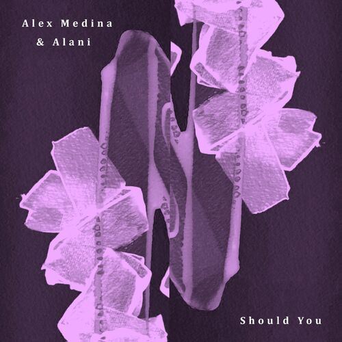 Release Cover: Alex Medina - Should You / Broken Window on Electrobuzz