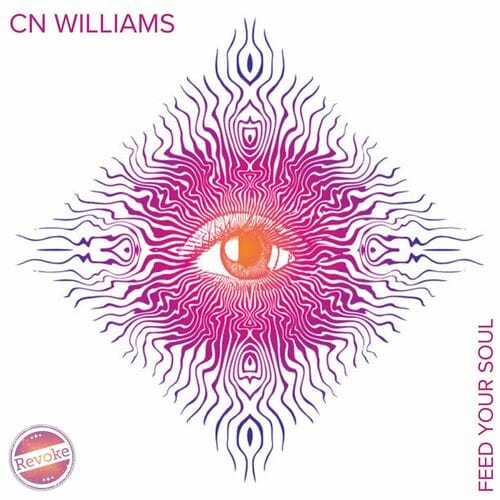 Release Cover: CN Williams - Feed Your Soul on Electrobuzz