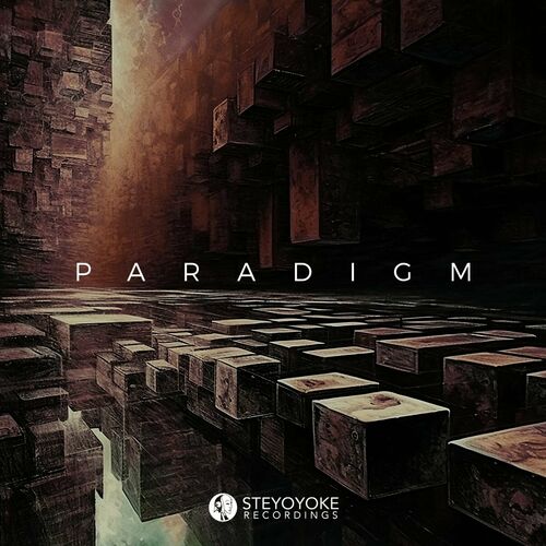 Release Cover: Various Artists - Steyoyoke Paradigm, Vol. 10 on Electrobuzz