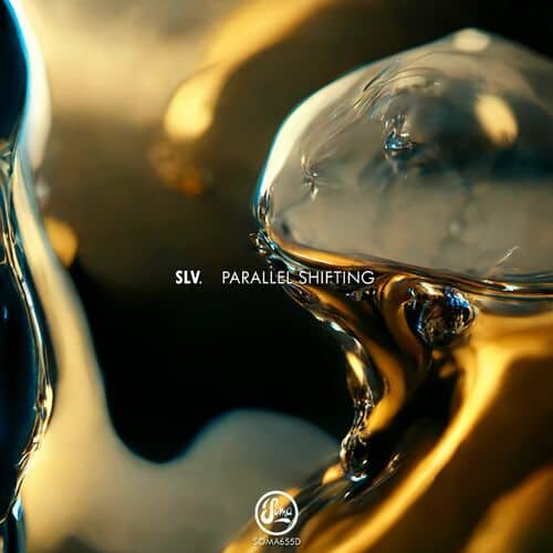 Release Cover: Slv - Parallel Shifting EP on Electrobuzz