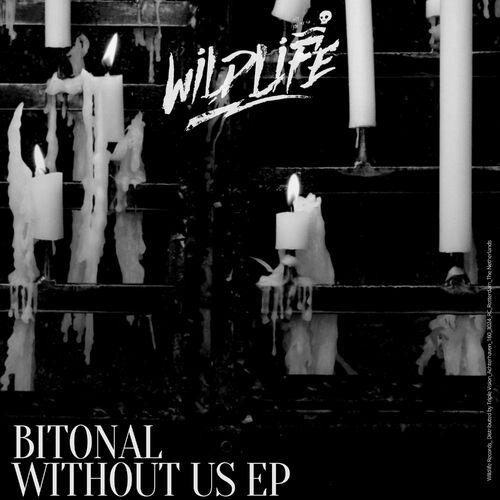Release Cover: Bitonal - Without Us on Electrobuzz