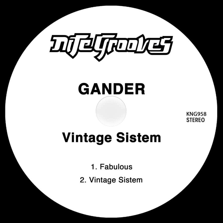 Release Cover: Gander - Vintage Sistem on Electrobuzz