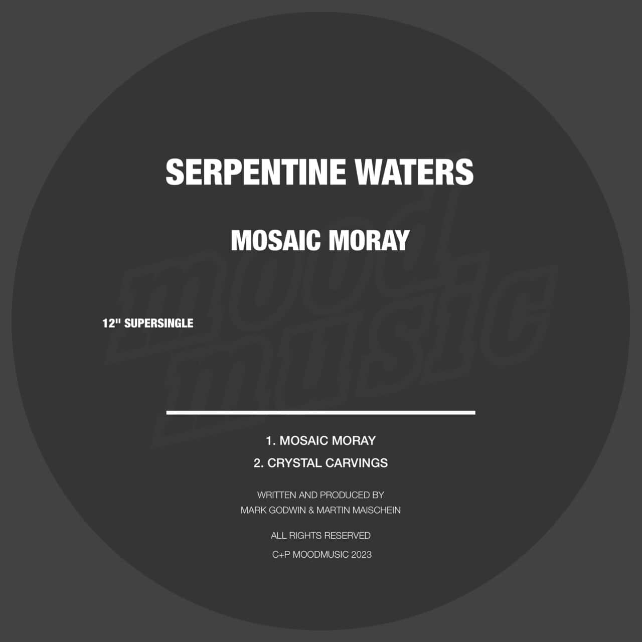 Release Cover: Serpentine Waters - Mosaic Moray on Electrobuzz