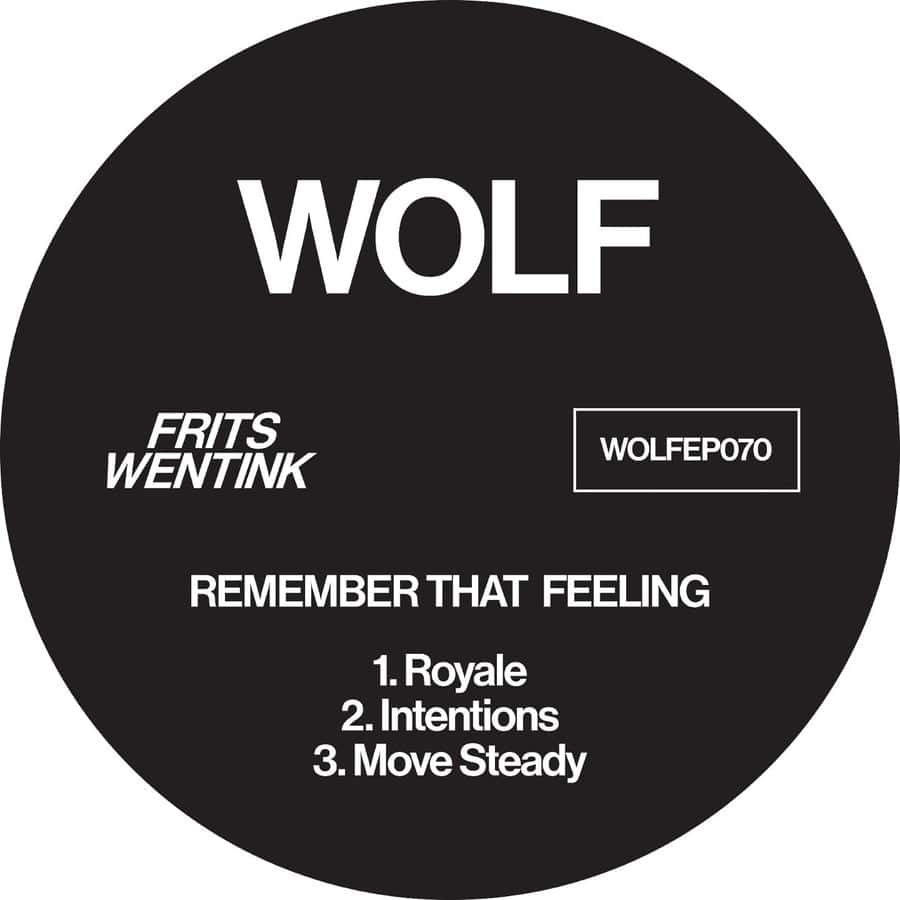 Release Cover: Frits Wentink - Remember That Feeling on Electrobuzz