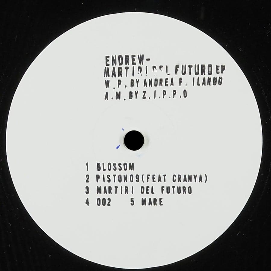 Release Cover: Endrew - Martiri Del Futuro EP on Electrobuzz