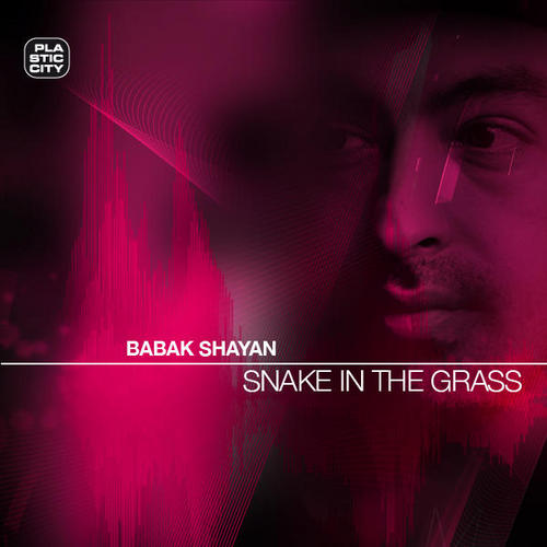 image cover: Babak Shayan - Snake In The Grass [PLAY095-8-X]