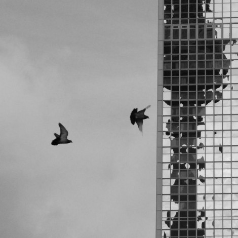 Holmby Hills – Bohemia EP [FR006]