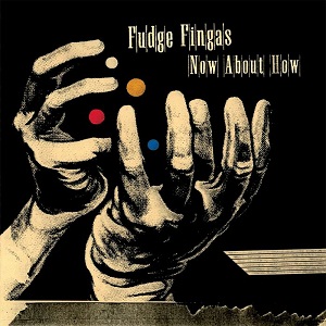 image cover: Fudge Fingas - Now About How [PNCD04]