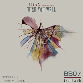 1Dan - Wish You Well download electrobuzz