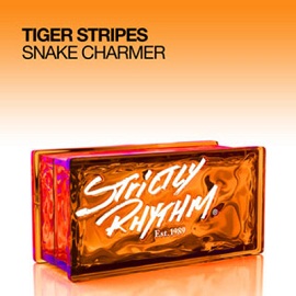 Tiger Stripes – Snake Charmer download