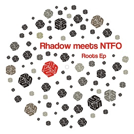 image cover: NTFO, Rhadow – Roots EP [SNTP040]