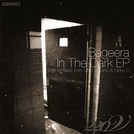 Bageera - In the Dark