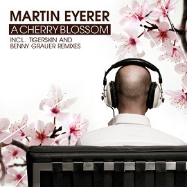 Martin Eyerer - A Cherry Blossom