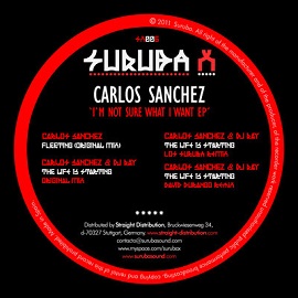 Carlos Sanchez, DJ Ray – Im Not Sure What I Want EP