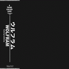 Wolfram Feat Haddaway - A Thing Called Love