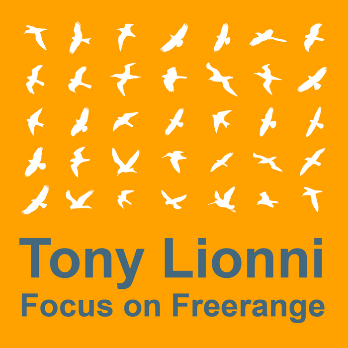 image cover: VA - Focus On Freerange (Mixed By Tony Lionni) [FOF05D]