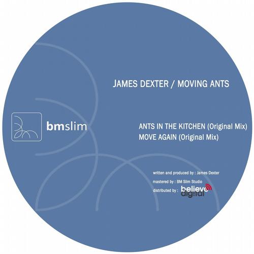 image cover: James Dexter - Moving Ants [BMS071]