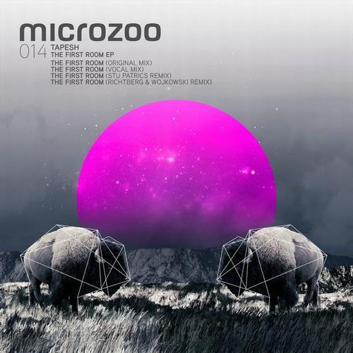 image cover: Tapesh - The First Room EP [MICROZOO014]