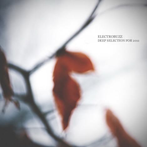 Electrobuzz Deep Selection For 2011