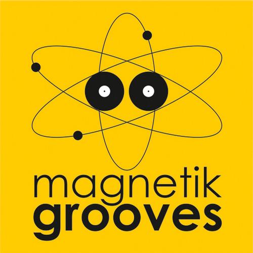 electrobuzz6 VA - Best Of Magnetik Grooves 2011 [MGNTK041]