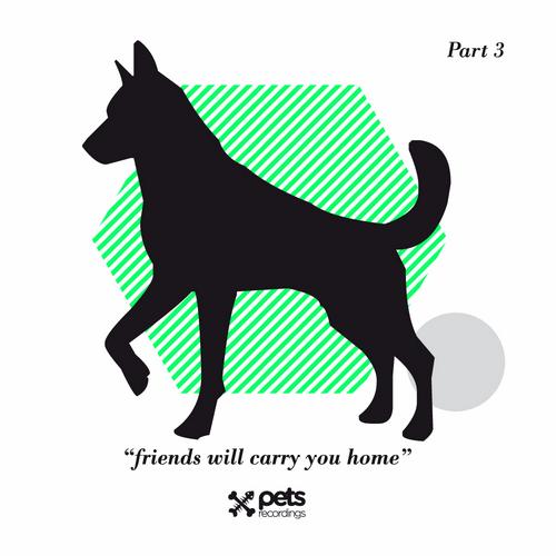 image cover: VA - Friends Will Carry You Home Part 3 [PETS015]