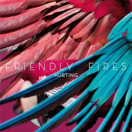 image cover: Friendly Fires, Tensnake - Hurting [XLDS553RMX2]