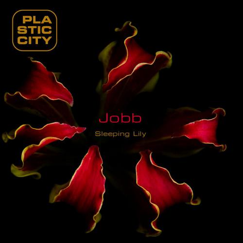image cover: Jobb - Sleeping Lily [PLAY1188]