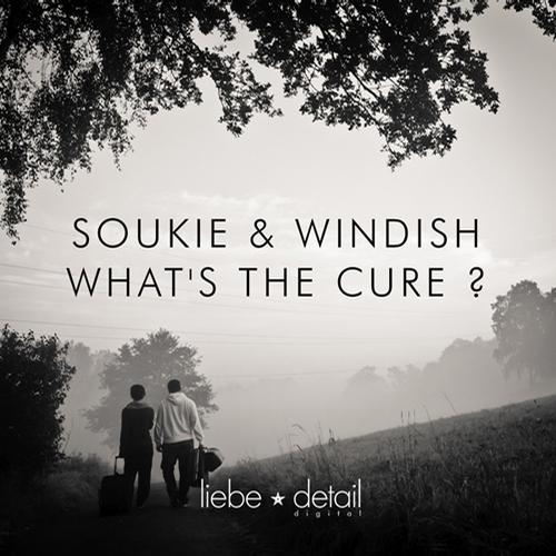 image cover: Soukie & Windish - Whats The Cure [827170225381]